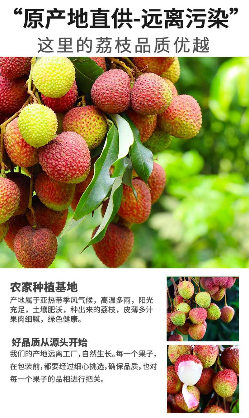 全球购：从海淘到本地化的新趋势