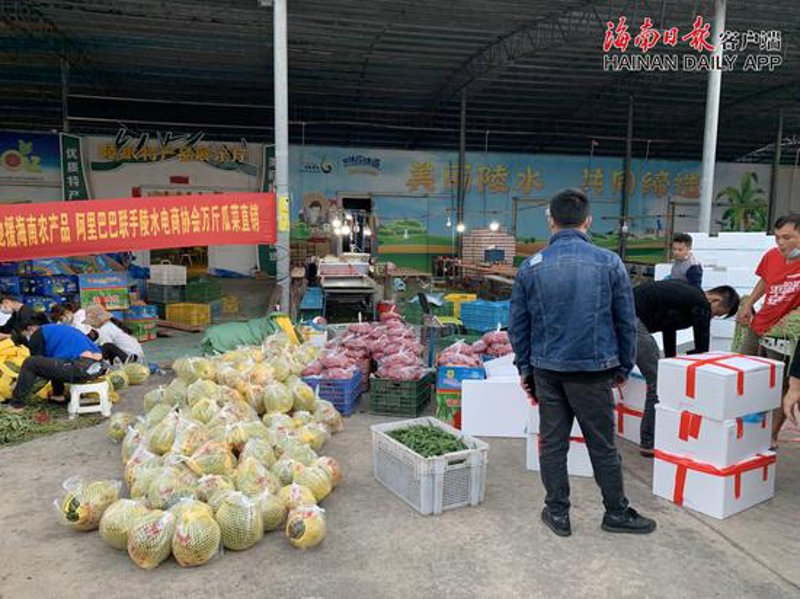 选购指南：如何挑选最适合您的家居用品